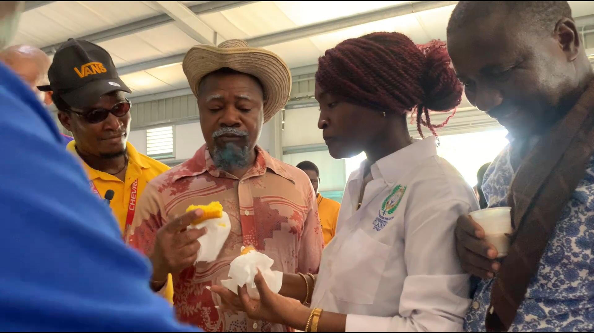 Tonton Bicha Te Prezan Nan Inogirasyon Izin Mèt Fèy Vèt La Nan Zone Limonade